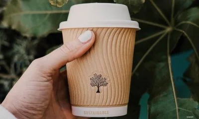 sustainable cup